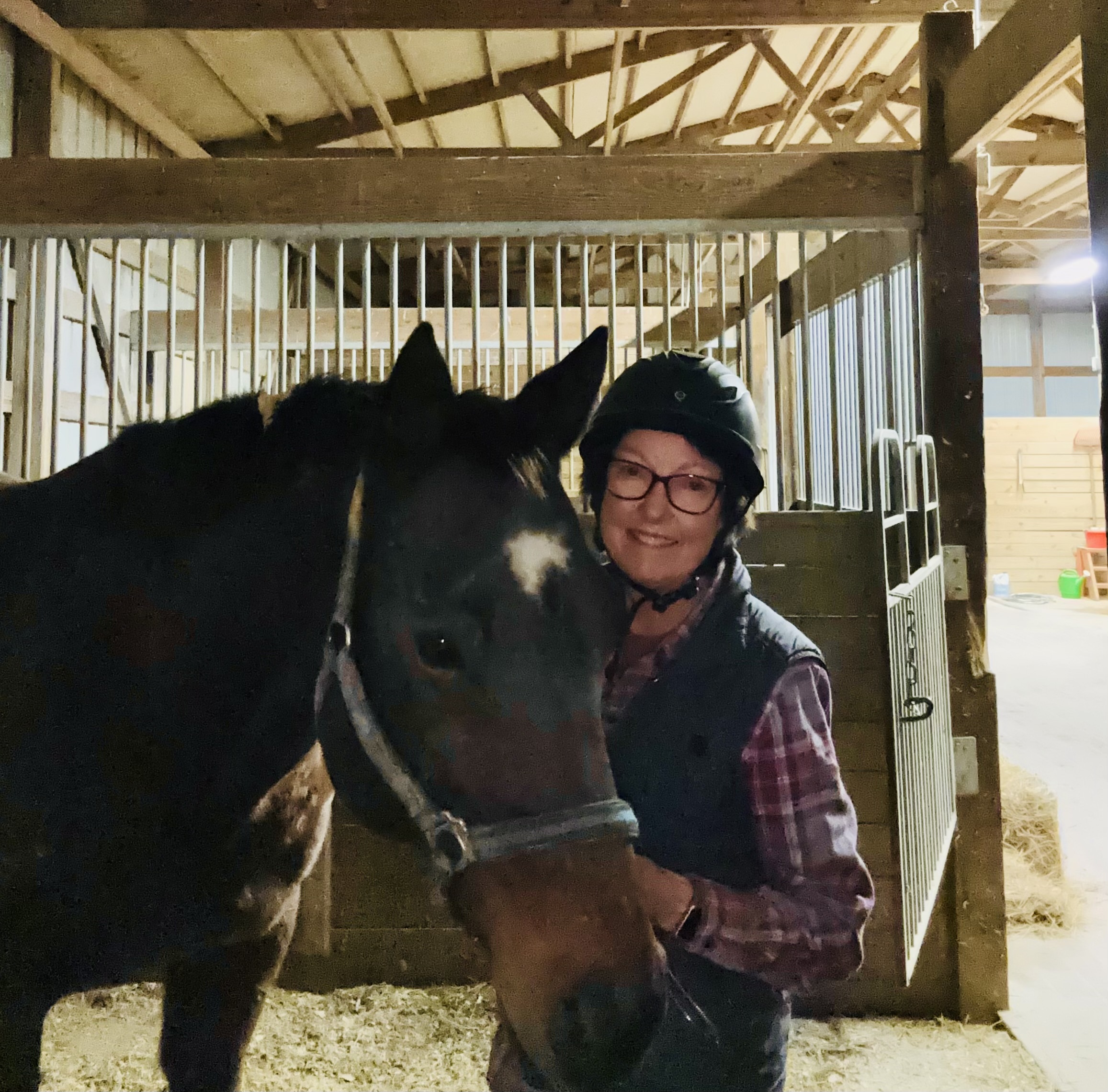 Horse Brain Science: Rethinking Training with Neuroscience