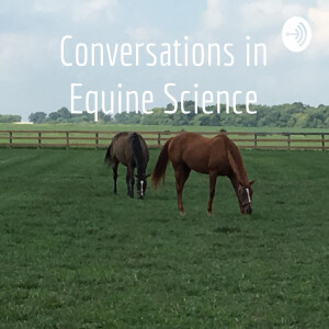 Spontaneous Blink Rate in Horses.