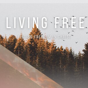 Living Free Pt. 6 – Freedom from Bitterness & Unforgiveness (3/17/24)