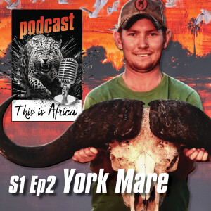 This is Africa Podcast S1 Episode 2 York Mare