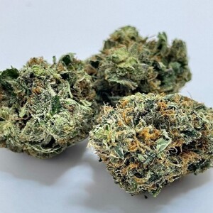 Gasdank