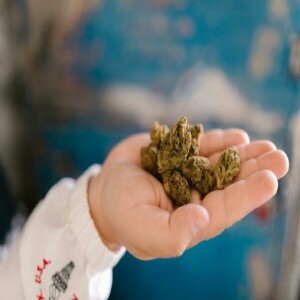 Edibles Online