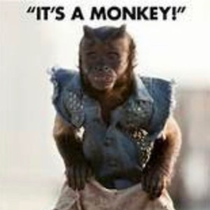 A Cigar Hustlers Podcast 237 Its a Monkey