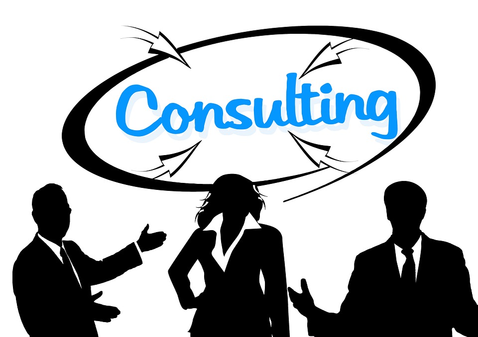 Business Consultant Lake Charles