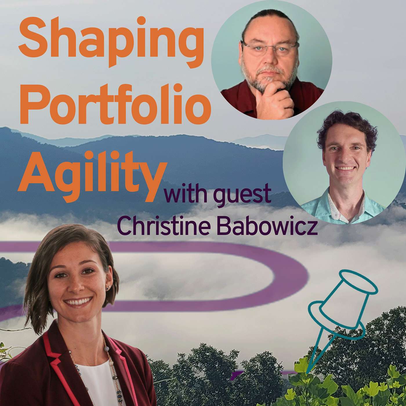 Shaping Portfolio Agility