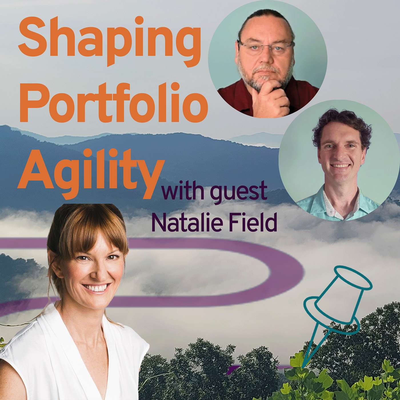 Shaping Portfolio Agility