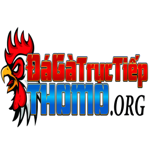Da Ga Truc Tiep Thomo