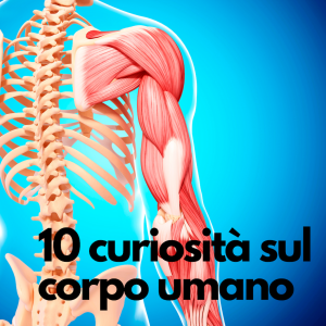 10 CURIOSITA' SUL CORPO UMANO