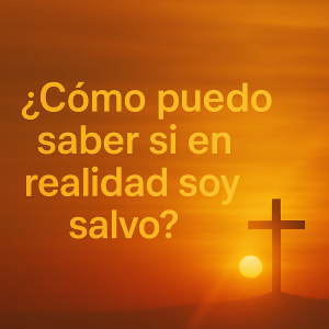Como puedo saber si en realidad soy Salvo?