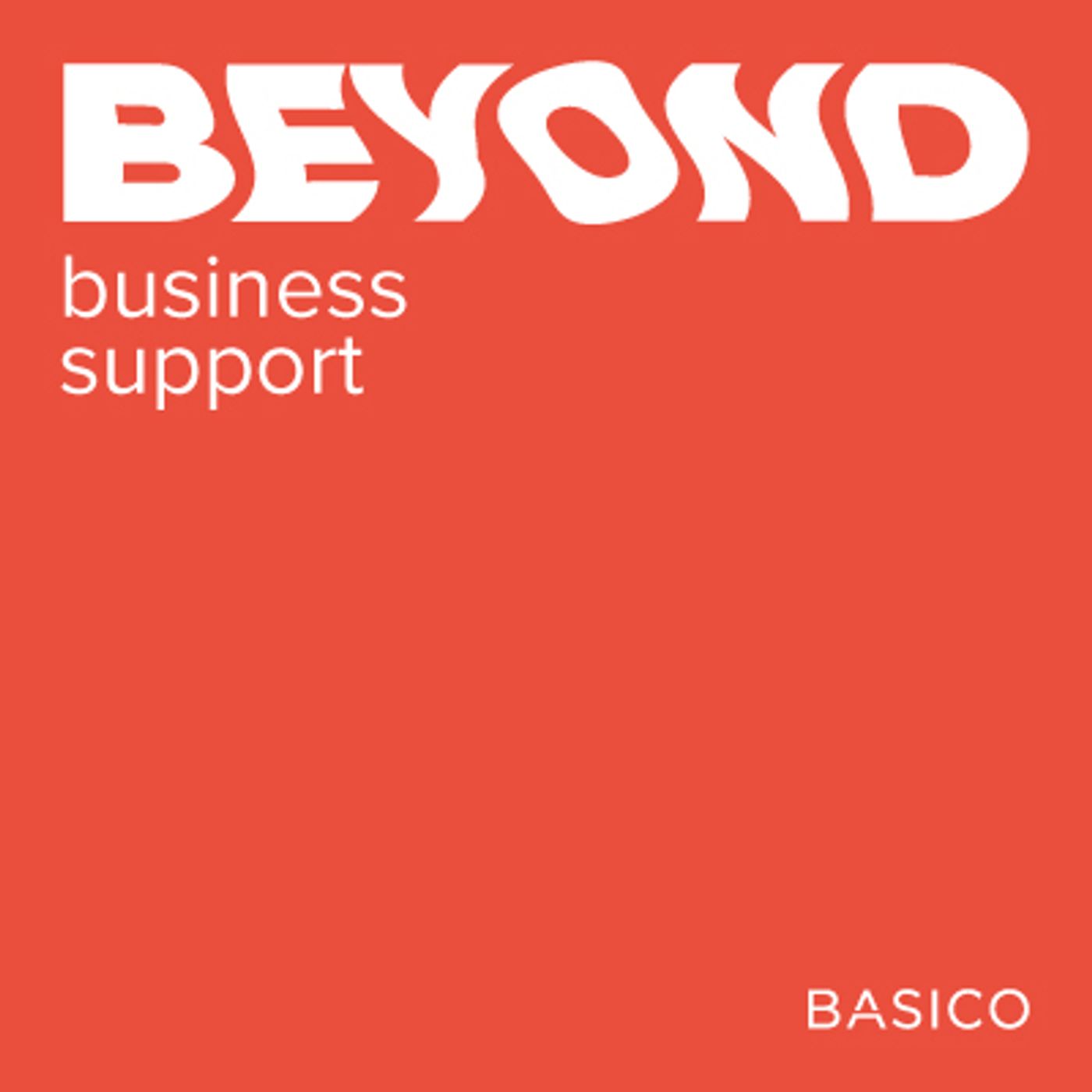 Beyond Business Support