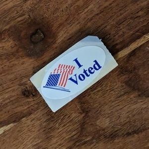 Episode 059 - Voting