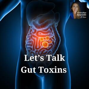 04: Gut Health 101: Kate Talks Toxins