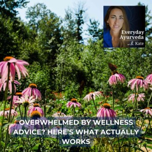 41. Overwhelmed by Wellness Advice? Here’s What Actually Works