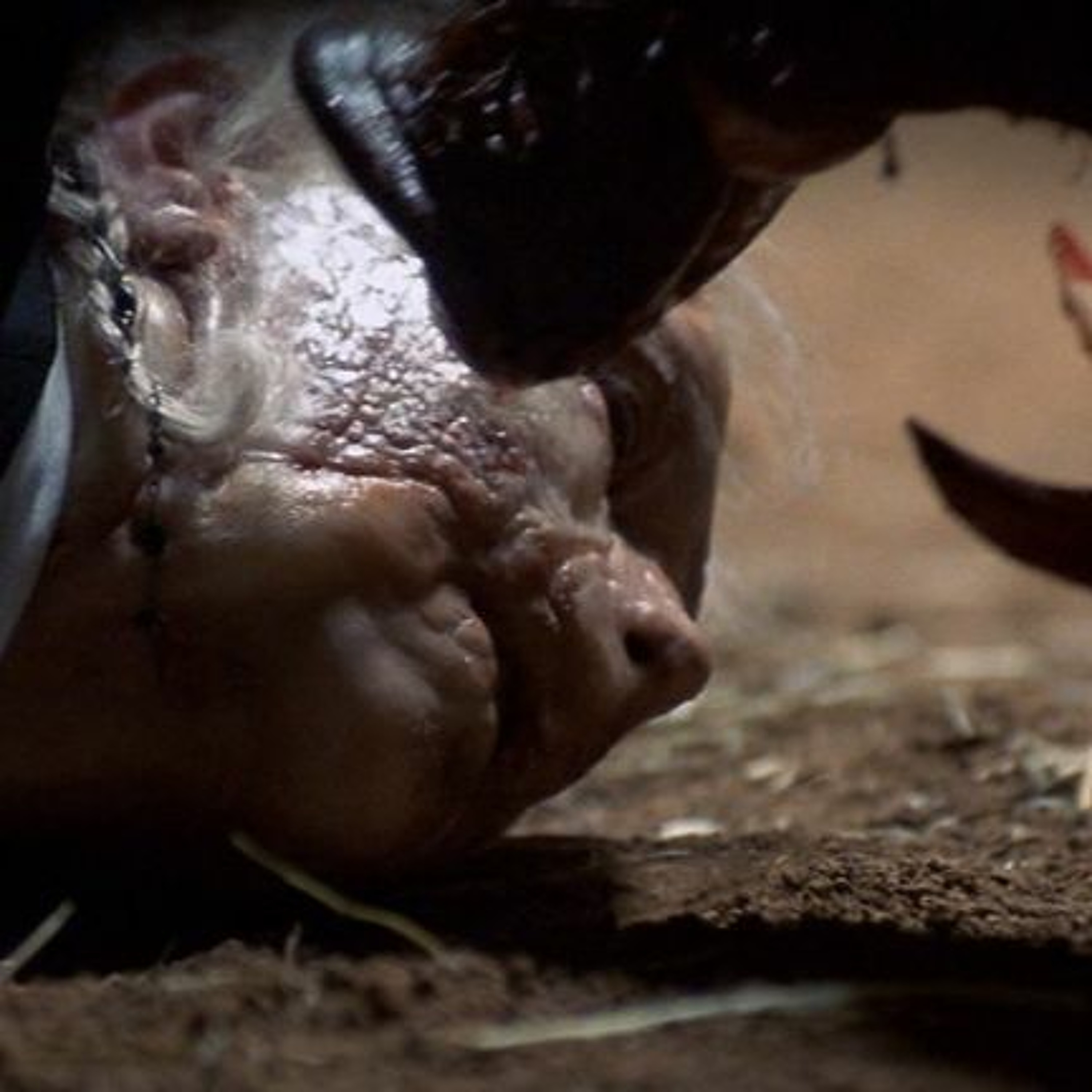 Cover for episode: Podquisition 277: I’ll Push You Into Some Pigs One Of These Days