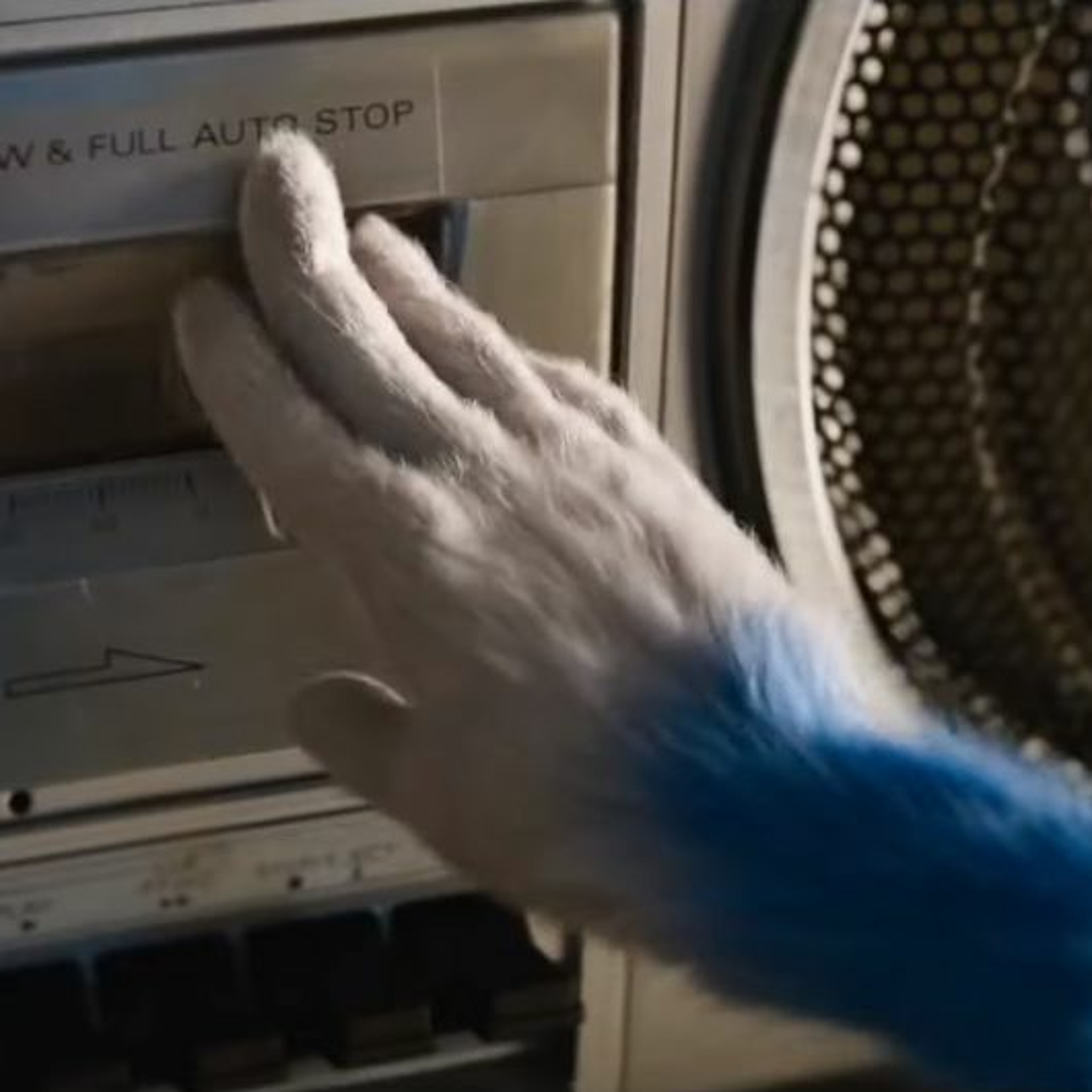 Cover for episode: Podquisition 230: Sonic’s Man Fingers