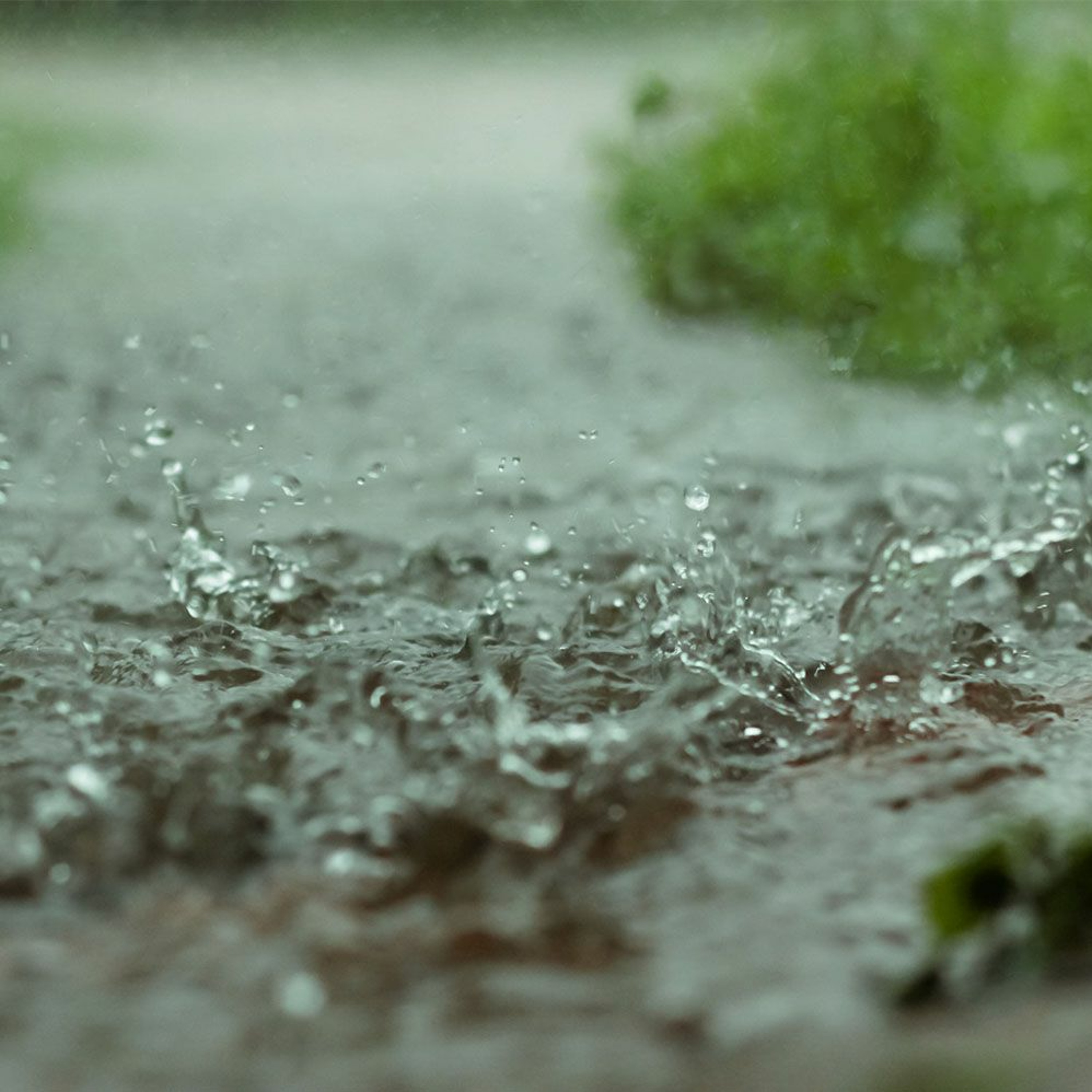 Cover for episode: Podquisition 471: Weather or Naught
