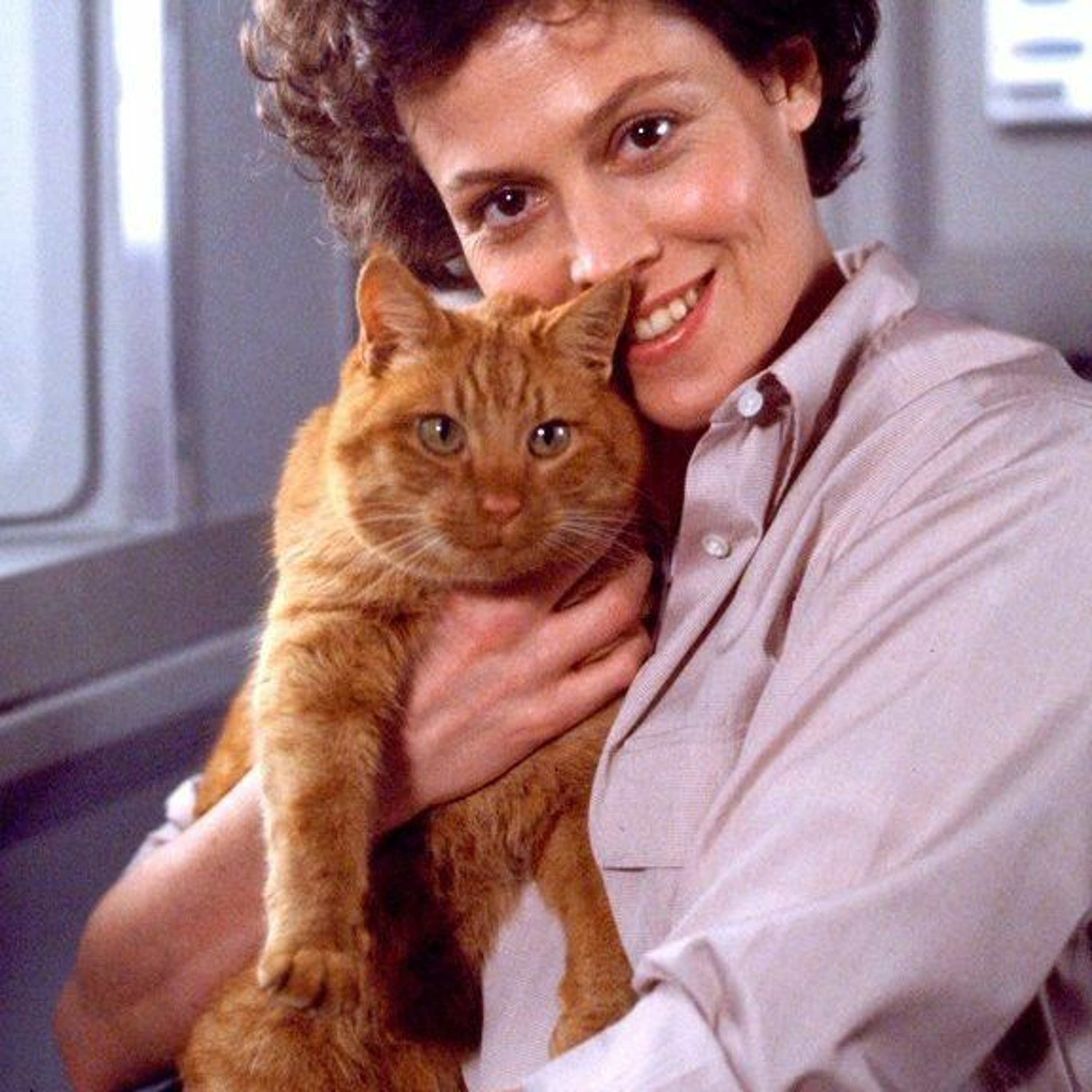 Cover for episode: Podquisition 283: That’s Cats