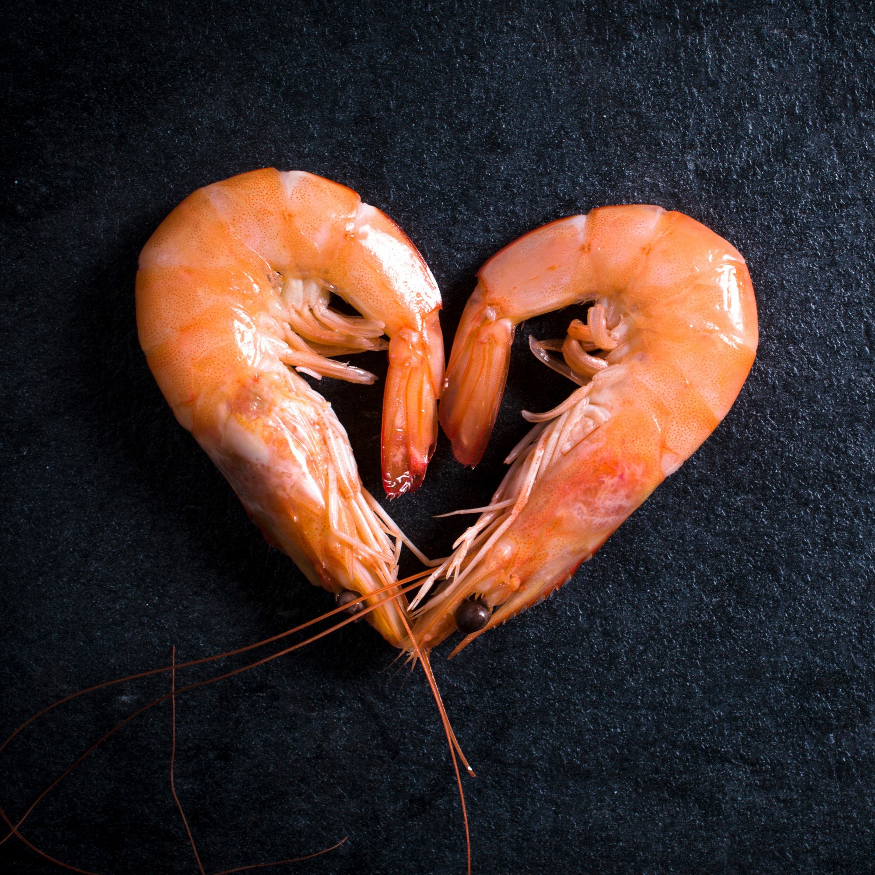 Cover for episode: Podquisition 347: Shrimp Are Perfect