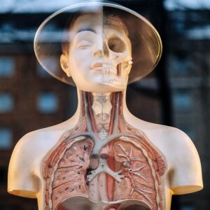 Podquisition 496: Conscious Anatomy