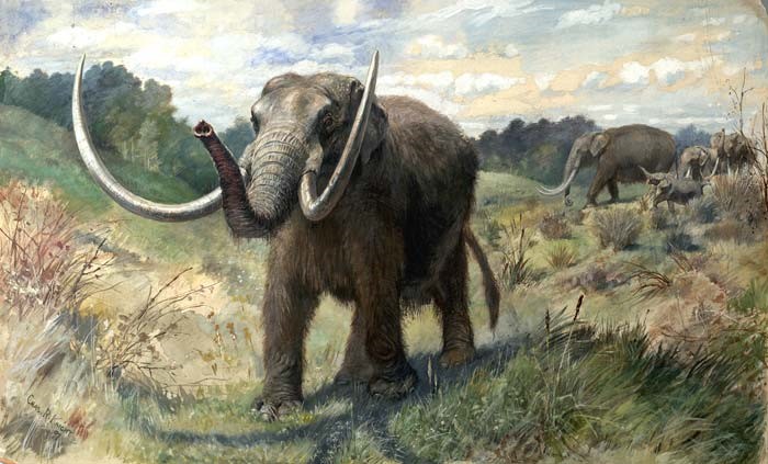 Episodio 94: Elefantes en el Libro de Mormón