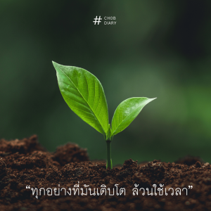 จังหวะของชีวิตที่ค่อยเป็นค่อยไป