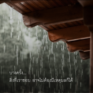 ความสุขจากความชอบไร้เหตุผล