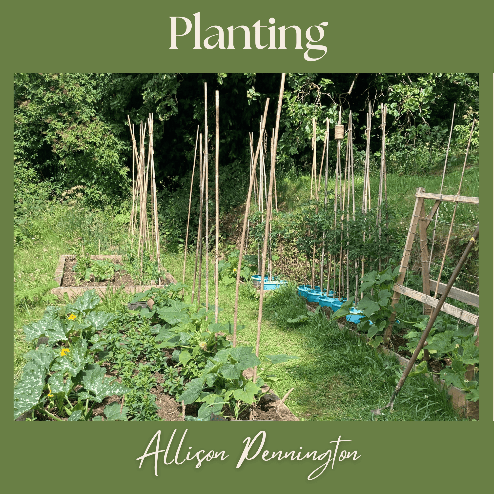 REFLECTIONS and RHYME