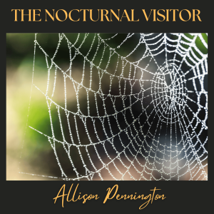 The Nocturnal Visitor