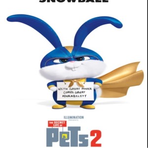 Secret Life of Pets 2