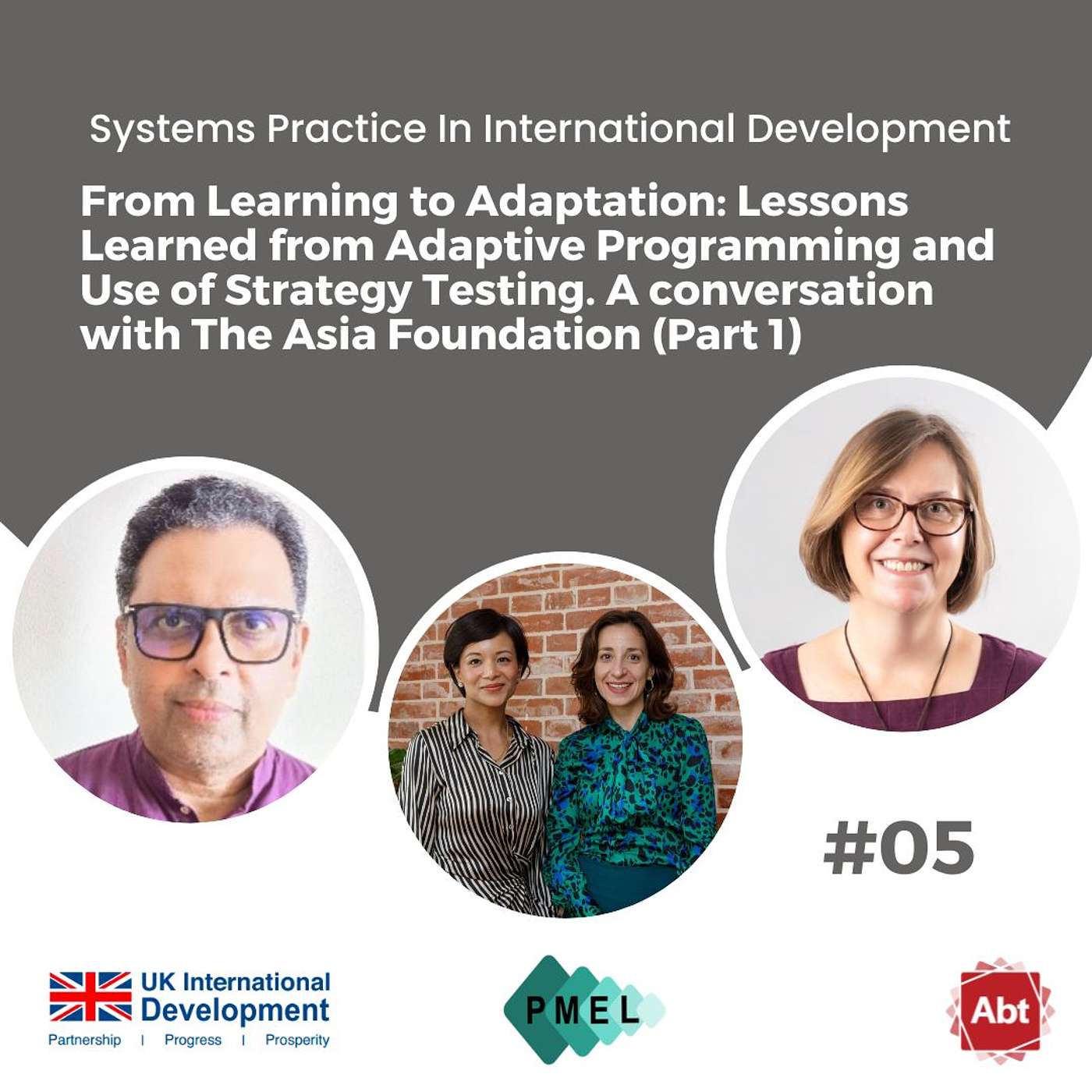 Systems Practice in International Development