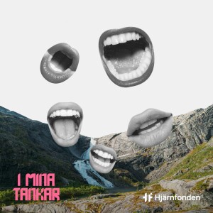 Eftersnacket: Hardangervidda