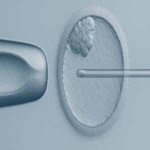 PGT-A: Precision or Peril—Are We Discarding Good Embryos?