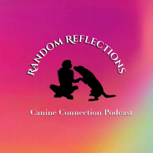 Random Reflections: Episode 1