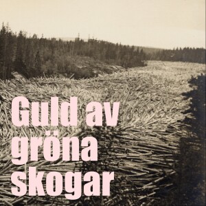 Avsnitt 10: Guld av gröna skogar