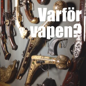 Avsnitt 17: Varför vapen?