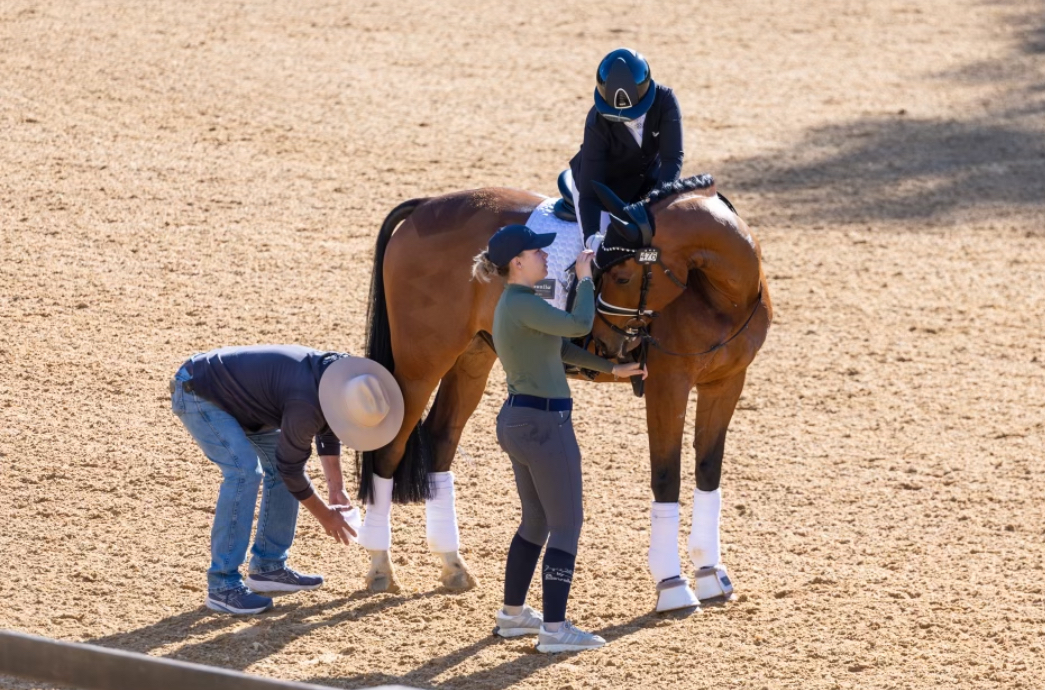 "Horse Talk: Navigating Equality, Age, and Emotions in Equestrian Sports" episode artwork