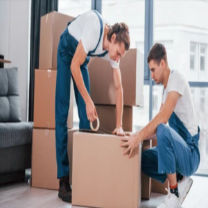 My Moving Journey USA