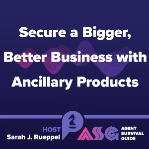 Secure a Bigger, Better Business with Ancillary Products