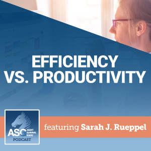 Efficiency vs. Productivity