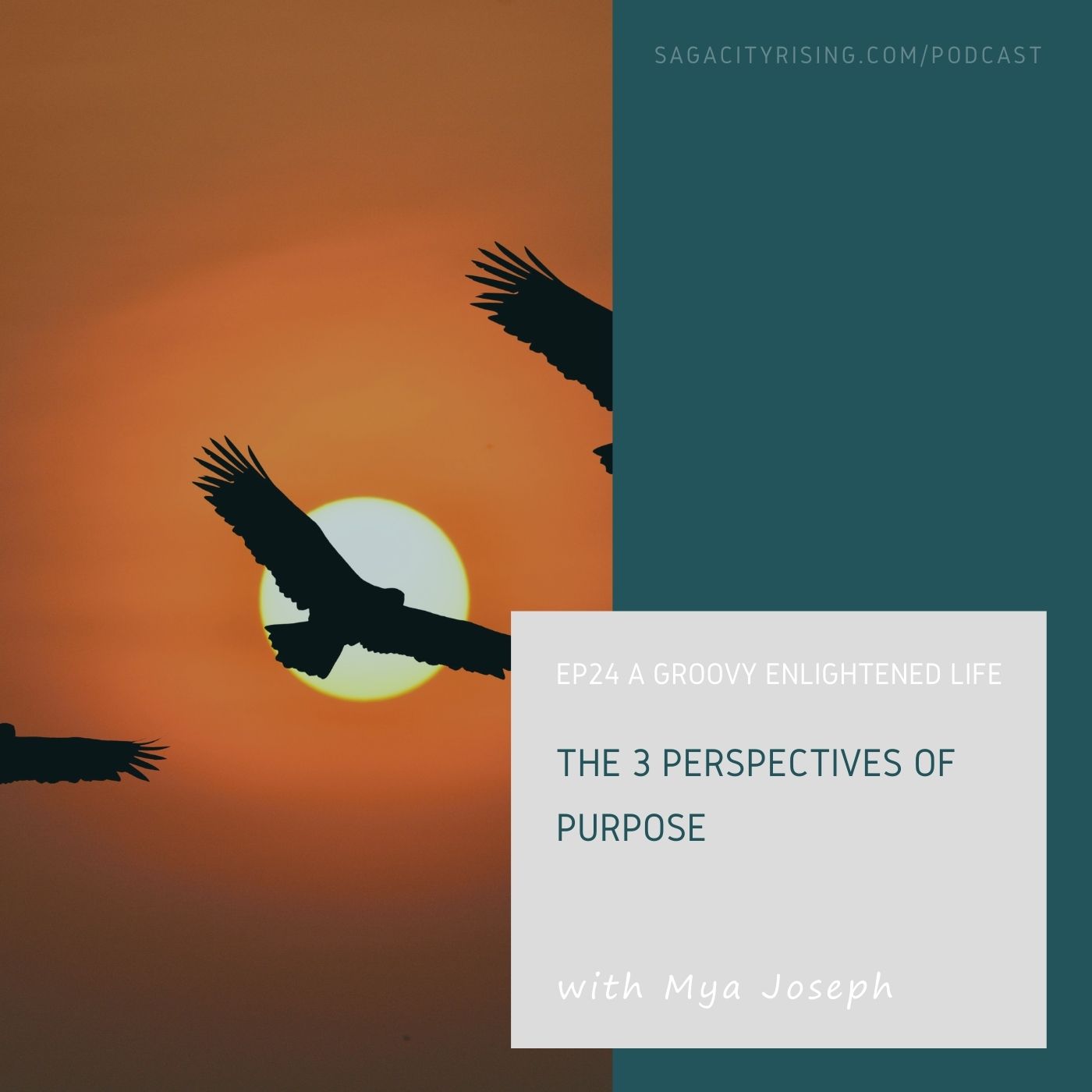The 3 Perspectives of Purpose
