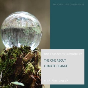 The One about Climate Change