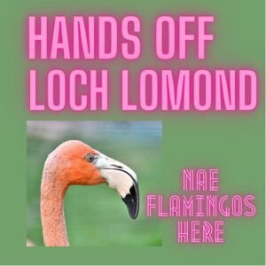 Hands Off Loch Lomond!