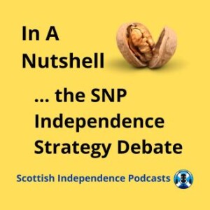 In A Nutshell ...the SNP Independence Strategy Debate