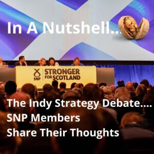 In a Nutshell 2:  SNP members reflect on the Indy strategy debate