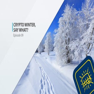 Crypto winter, say what?