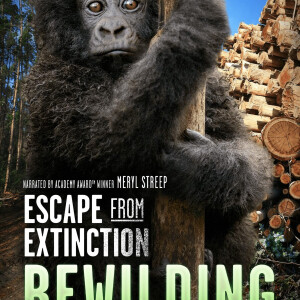 YDC Ep 39: Producer, Matt Brady - Escape from Extension: Rewilding