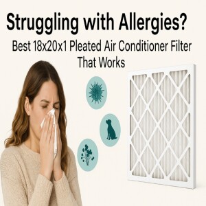 Struggling with Allergies? Best 18x20x1 Pleated Air Conditioner Filter That Works