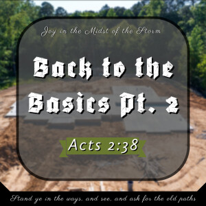 Back to the Basics Pt. 2