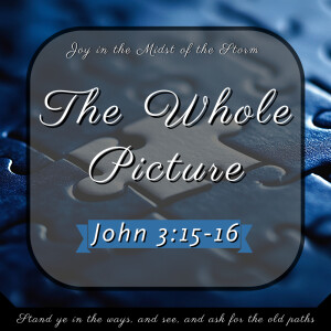 The Whole Picture