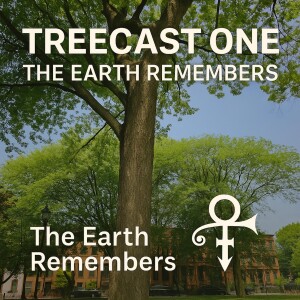 Prince Rogers Nelson: TREECAST ONE: The Earth Still Knows My Name ~Recorded live 7.5.25 OFFICIAL PRINCE